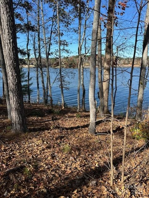 2242 Pikes Peak Ridge #159 - Photo 35