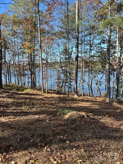 2242 Pikes Peak Ridge #159 - Photo 36