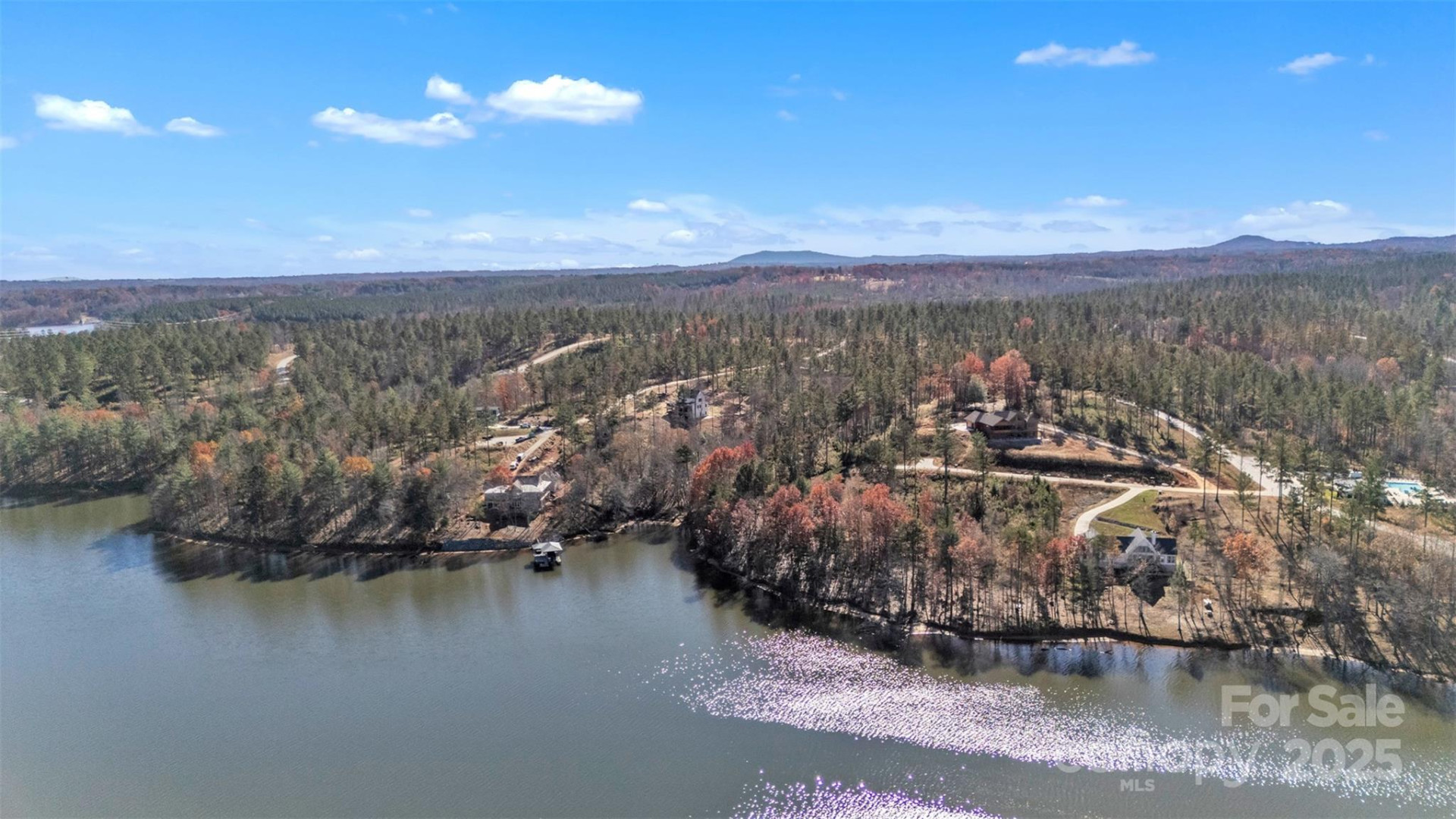 2242 Pikes Peak Ridge #159 - Photo 9