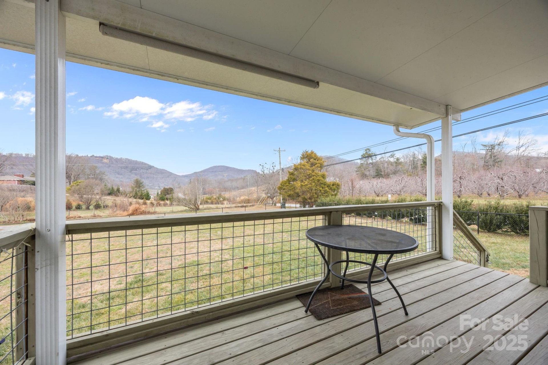 18 Trillium Meadows Lane - Photo 2