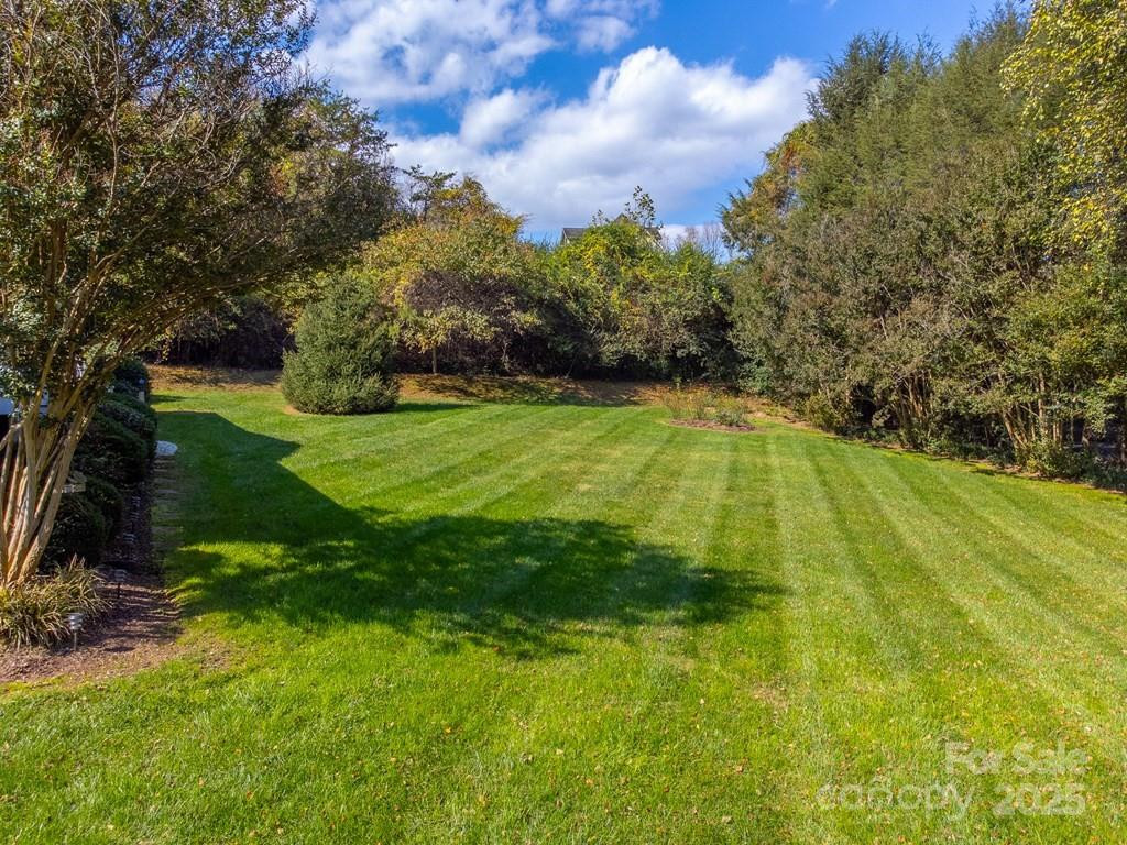 180 Paw Paw Cove - Photo 5