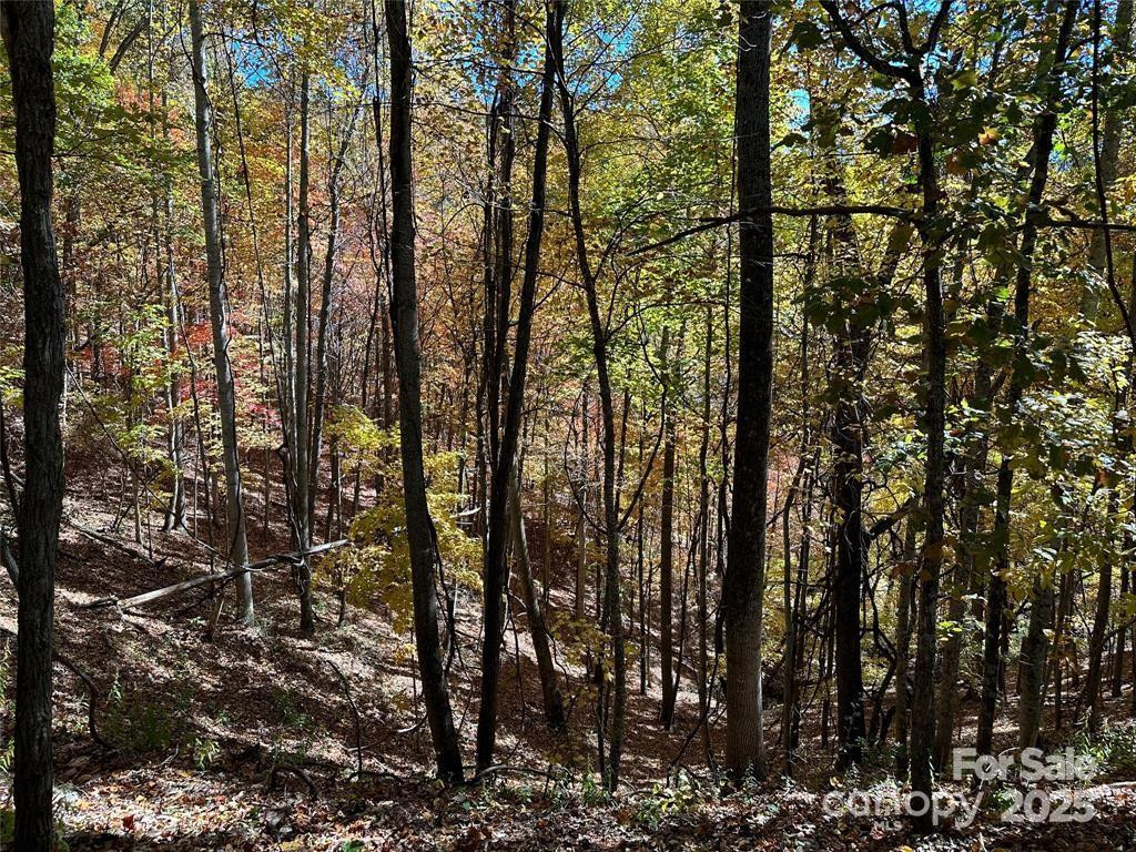 5 Hidden Valley Road - Photo 11