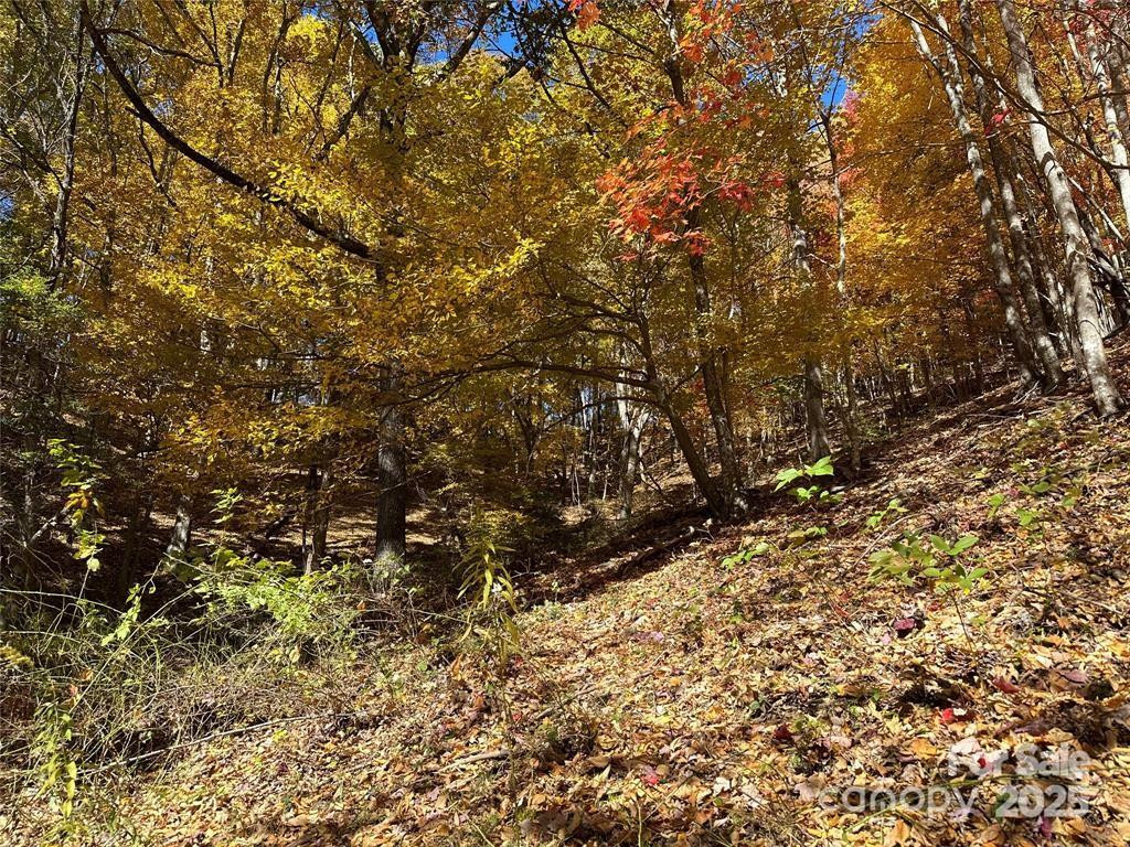 5 Hidden Valley Road - Photo 12