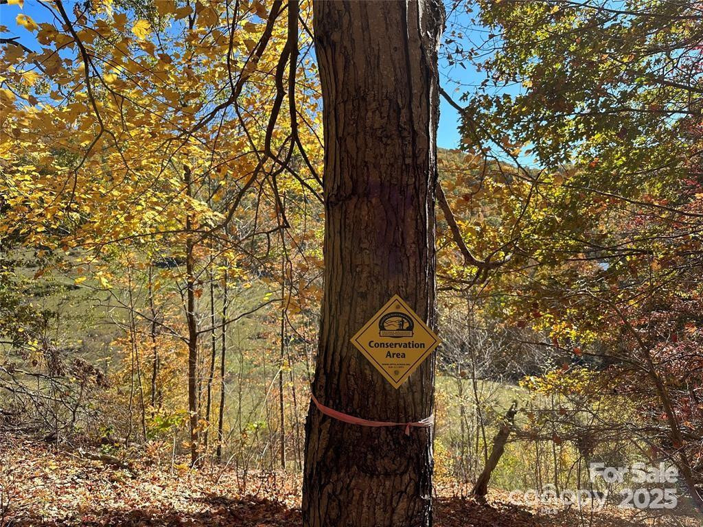 5 Hidden Valley Road - Photo 3