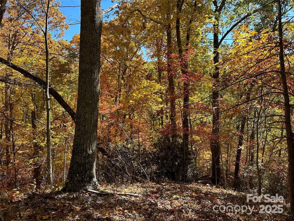 5 Hidden Valley Road - Photo 4