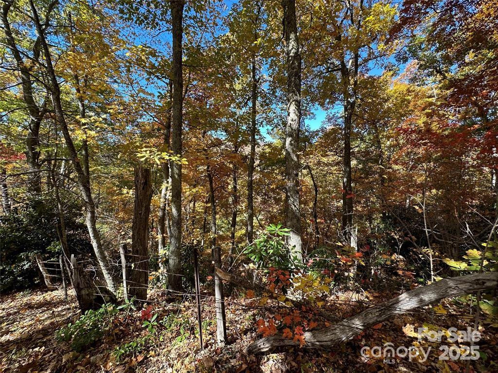 5 Hidden Valley Road - Photo 6