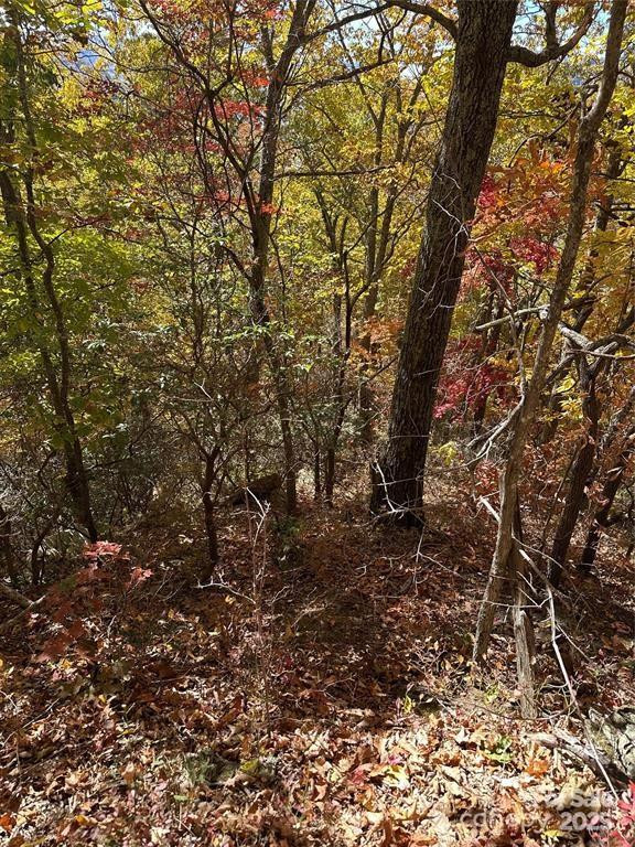 5 Hidden Valley Road - Photo 7