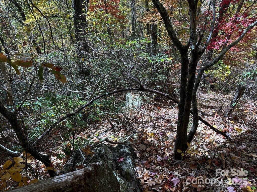 5 Hidden Valley Road - Photo 8