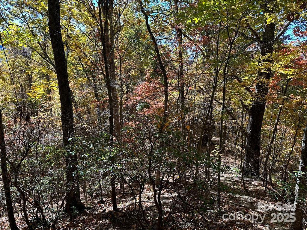5 Hidden Valley Road - Photo 9