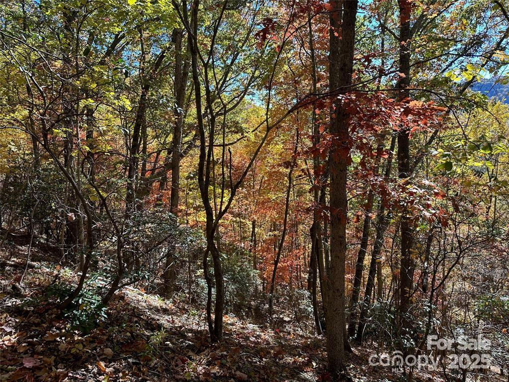 5 Hidden Valley Road - Photo 10