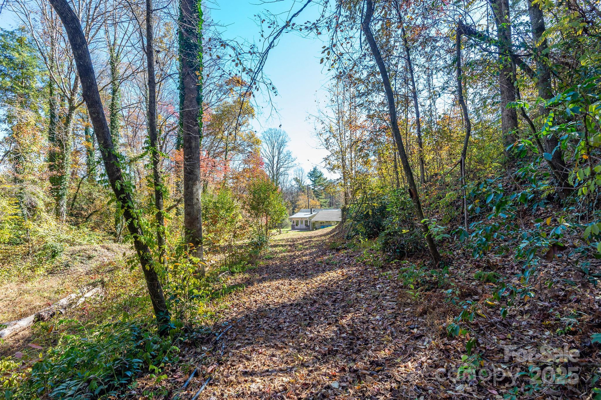 914 Catheys Creek Church Road - Photo 12