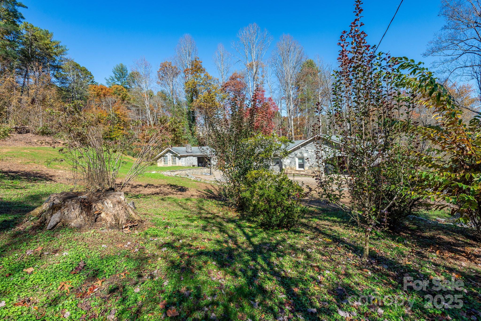 914 Catheys Creek Church Road - Photo 30