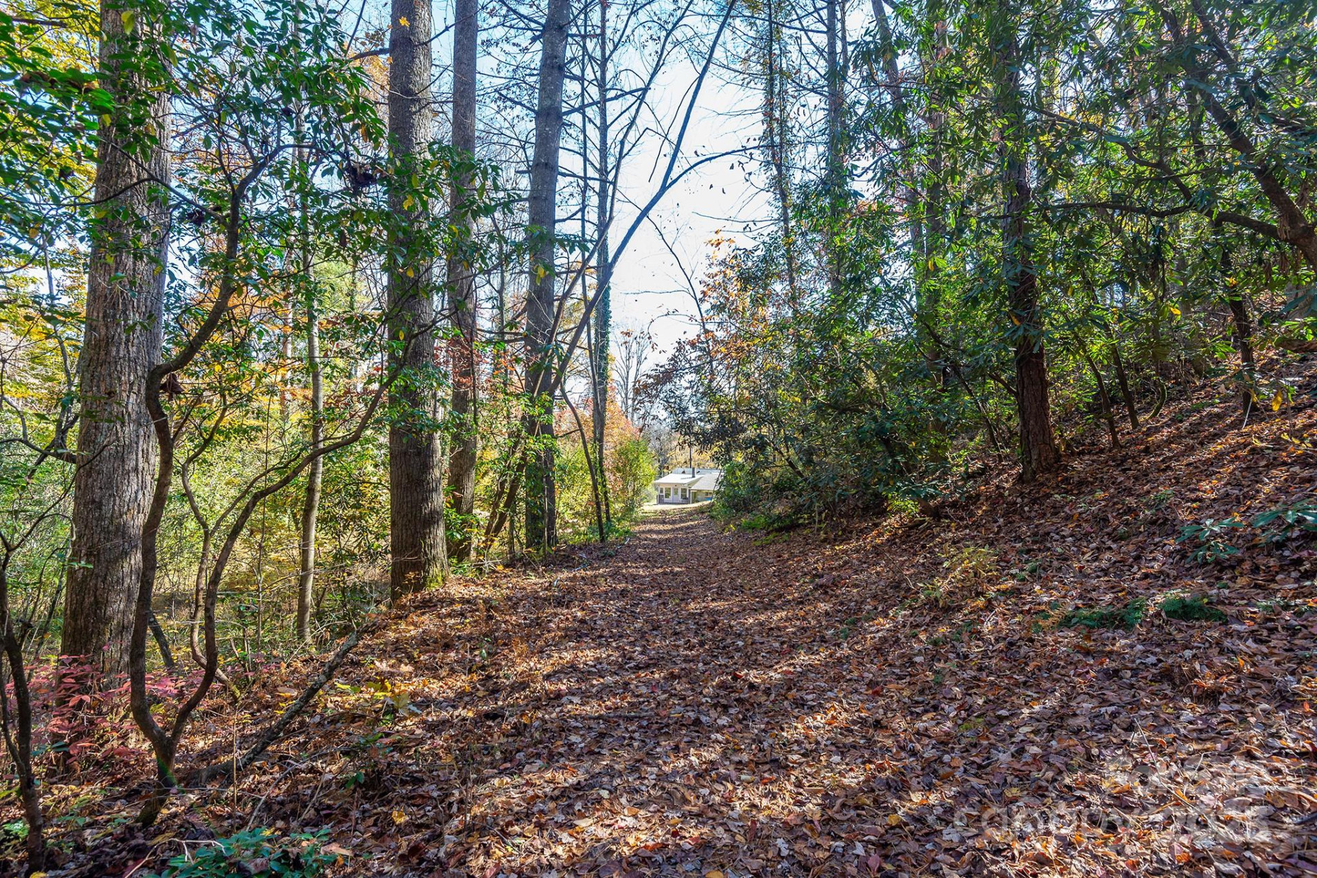914 Catheys Creek Church Road - Photo 32