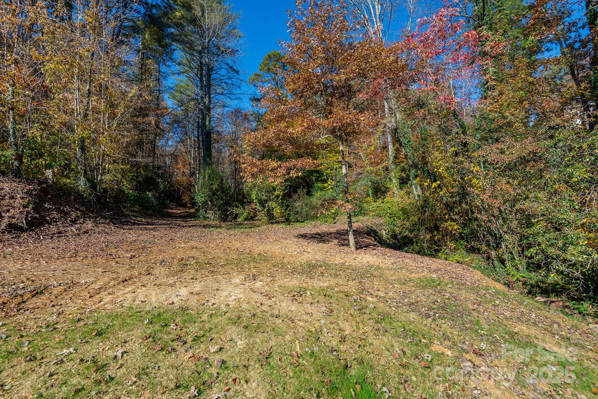 914 Catheys Creek Church Road - Photo 8