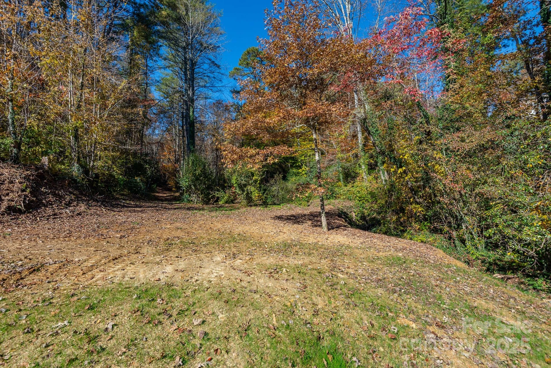 914 Catheys Creek Church Road - Photo 8