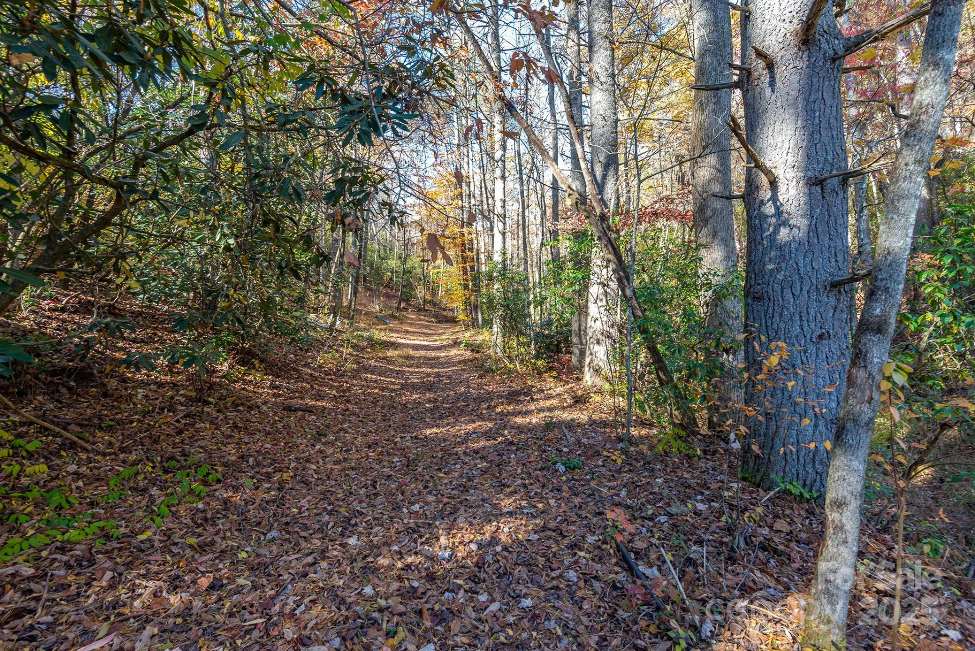 914 Catheys Creek Church Road - Photo 10