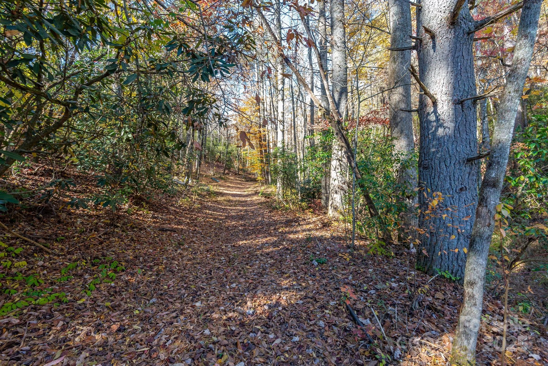 914 Catheys Creek Church Road - Photo 10