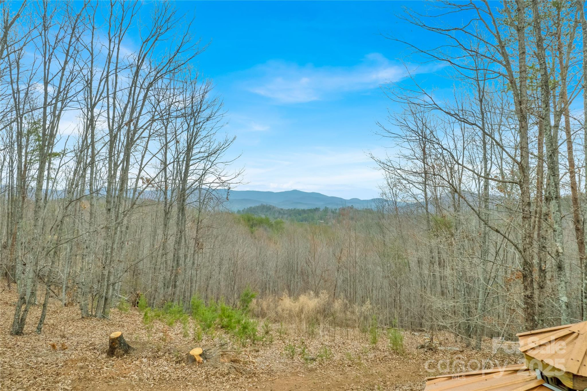 384 Woodgate Drive - Photo 7