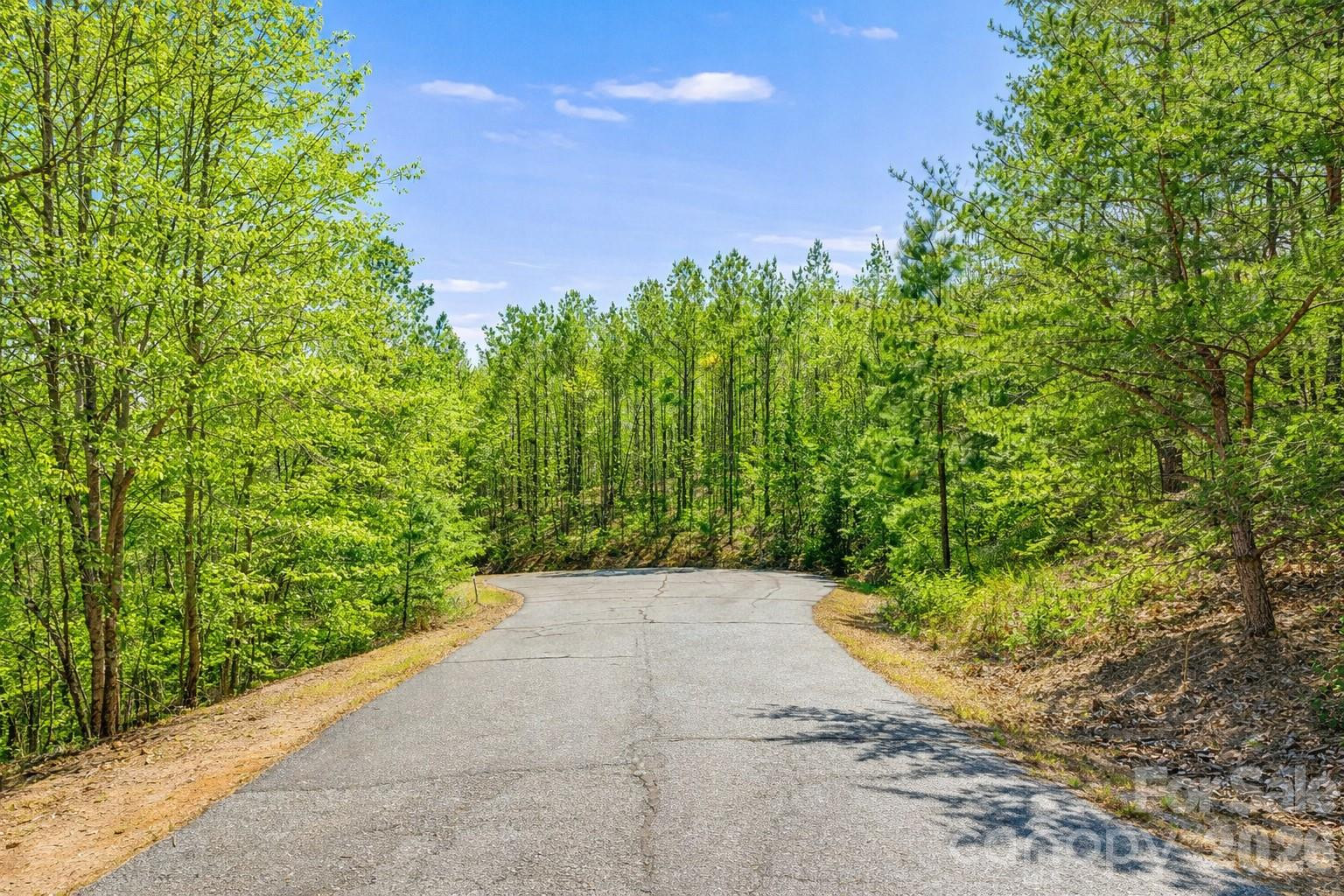 0 AUTUMN Lane #268 - Photo 2