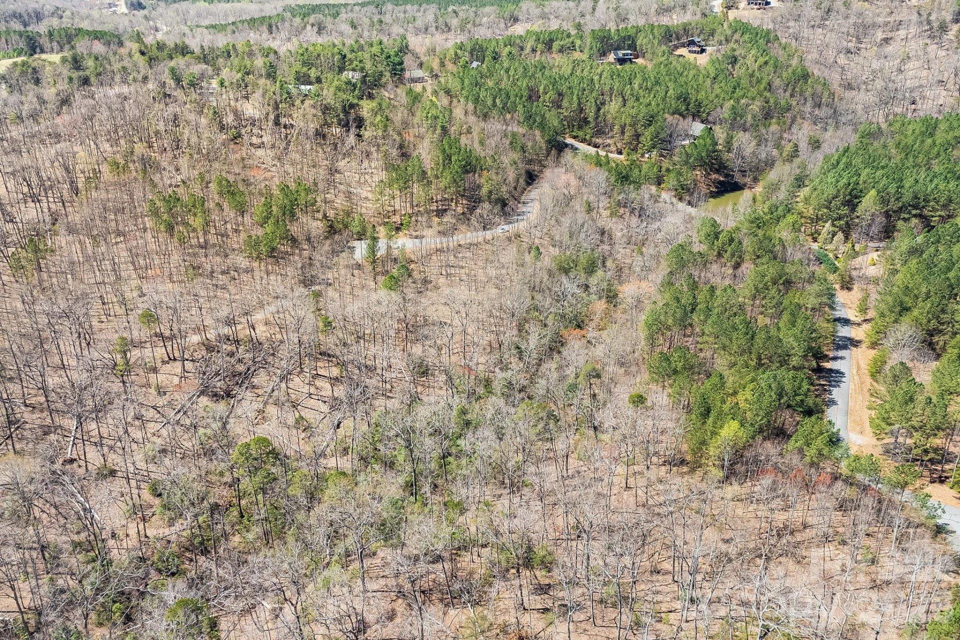 0 AUTUMN Lane #268 - Photo 17