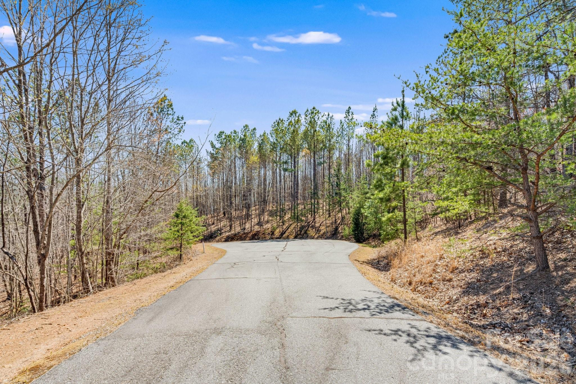 0 AUTUMN Lane #268 - Photo 5