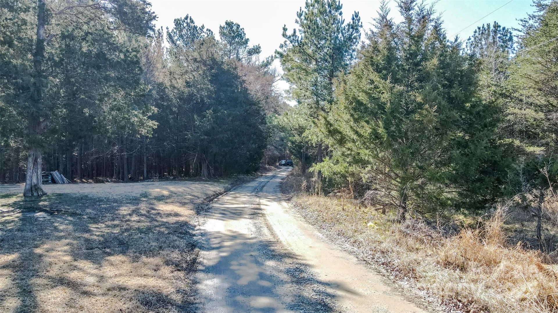 00 Haith Fuller Trail - Photo 3