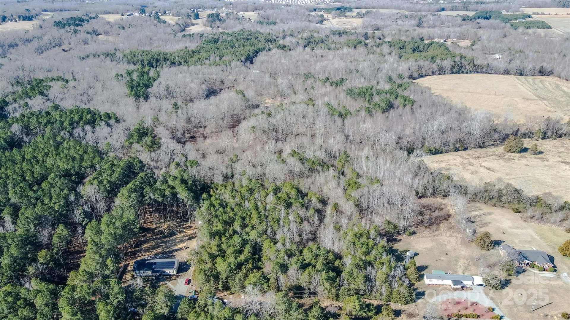 00 Haith Fuller Trail - Photo 4
