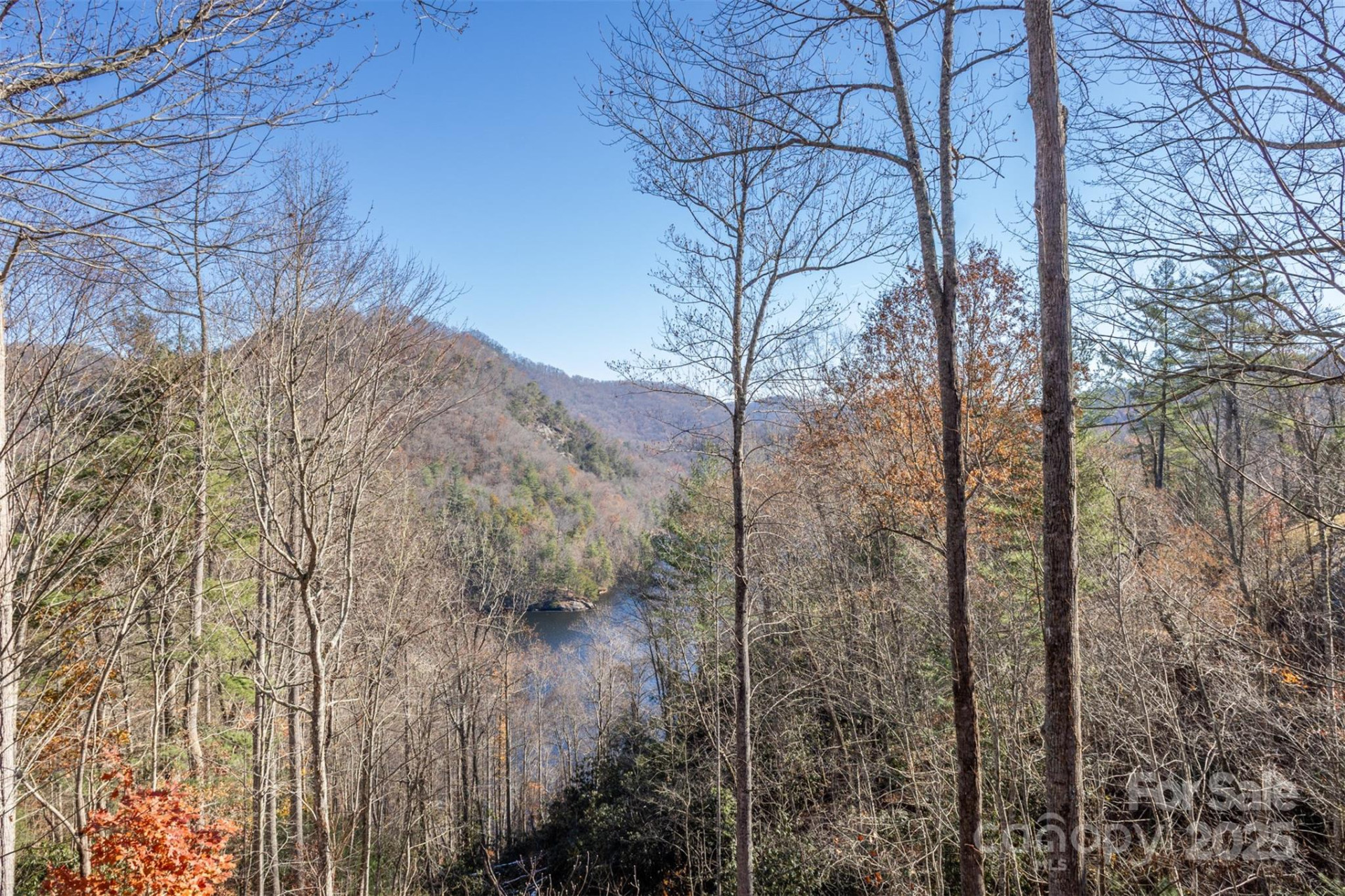 100-3 Saddle Notch Lane - Photo 13
