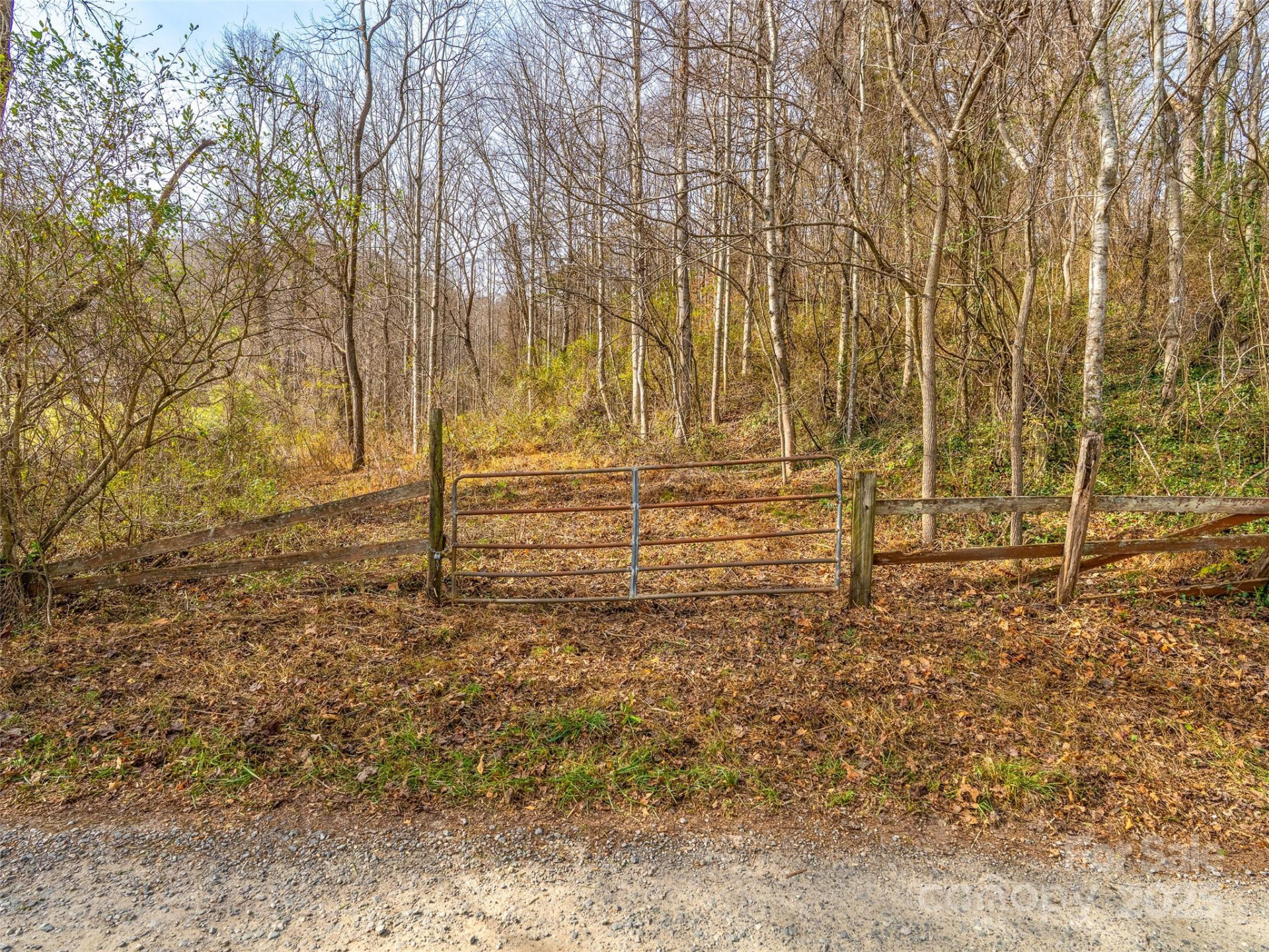 99999 Bay Horse Trail - Photo 3