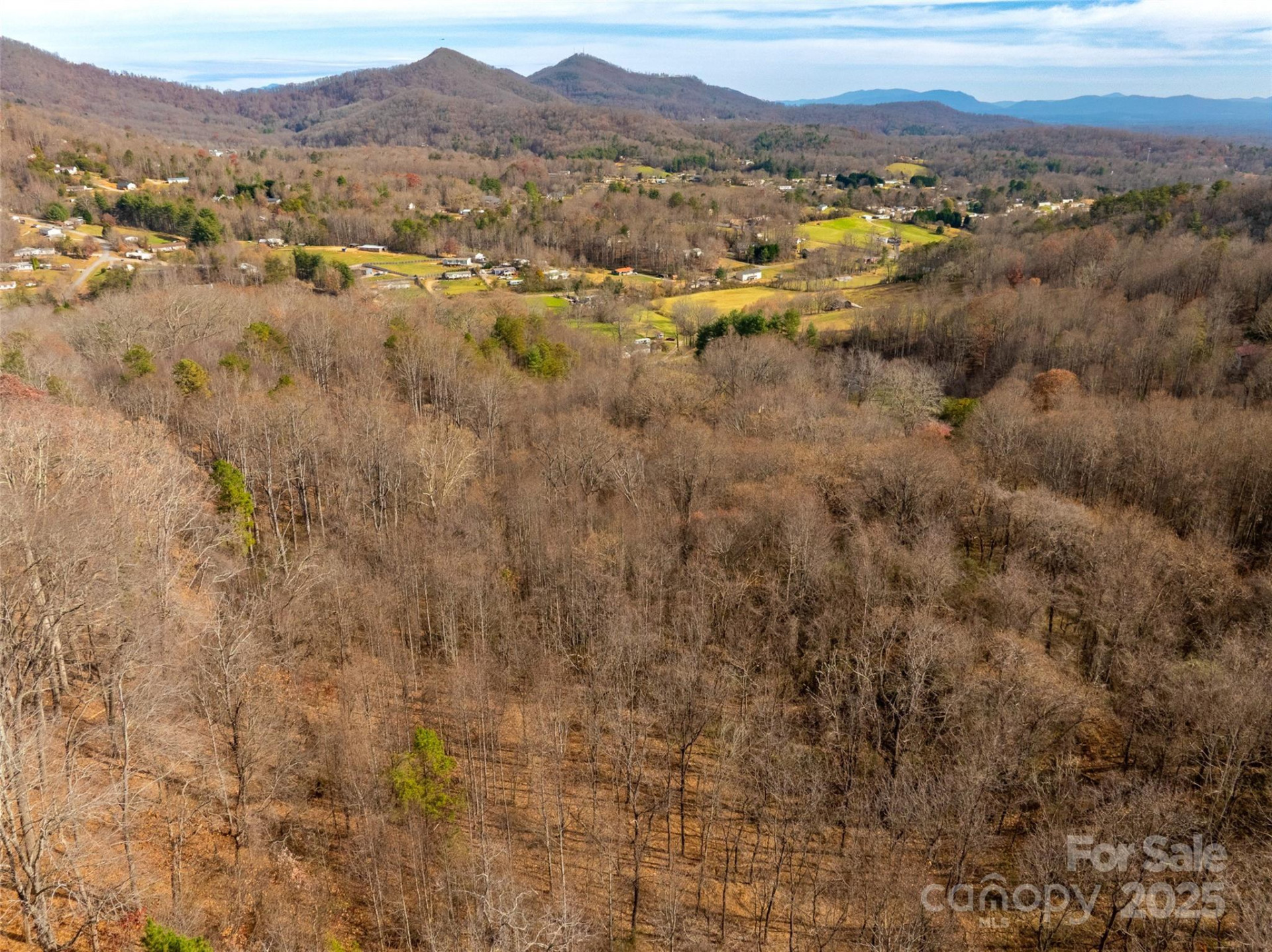 99999 Bay Horse Trail - Photo 5