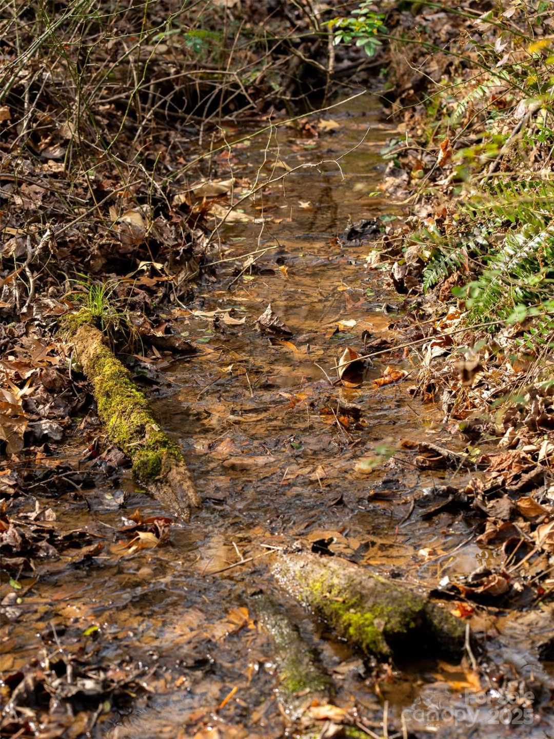 99999 Bay Horse Trail - Photo 6