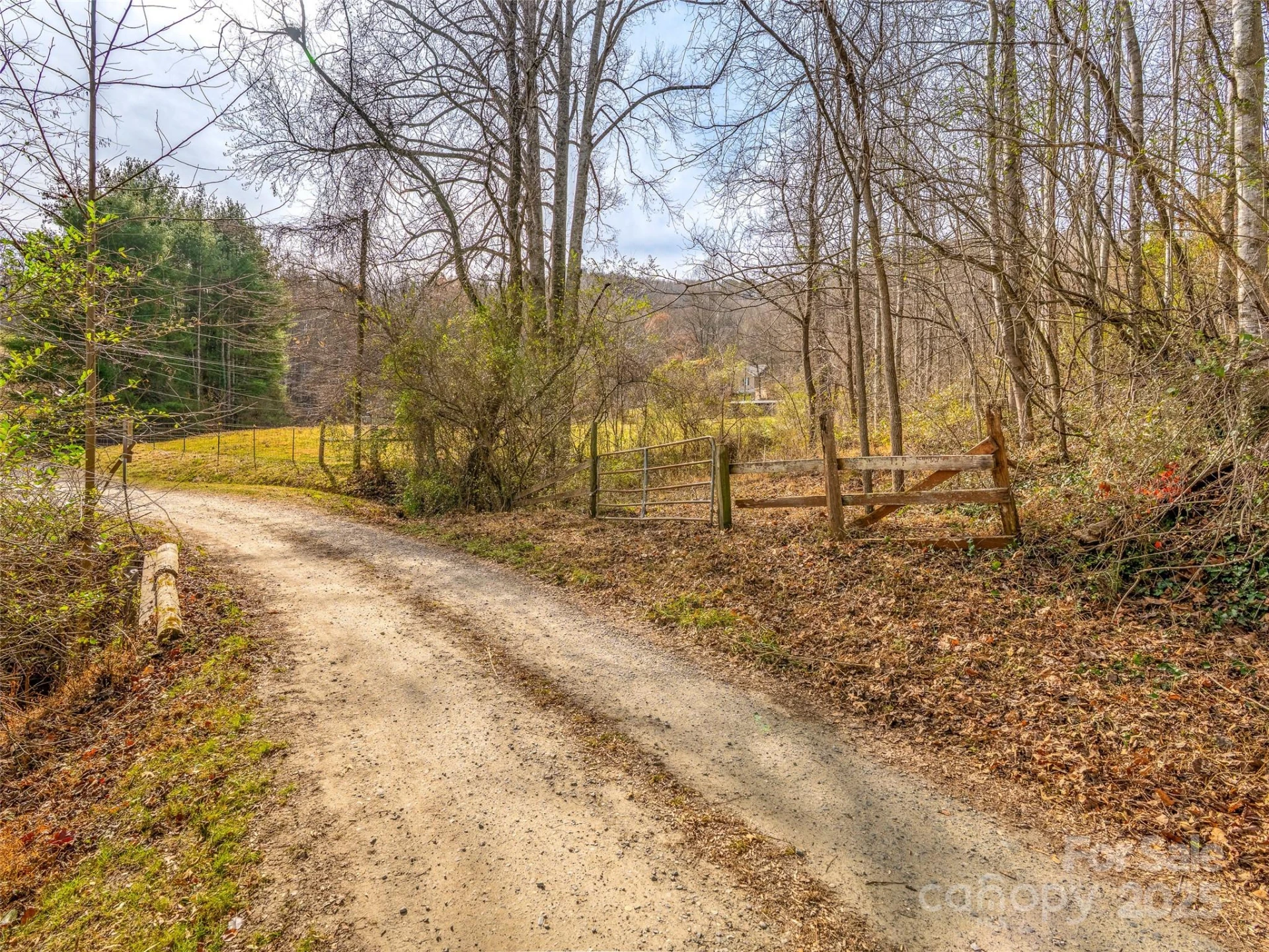99999 Bay Horse Trail - Photo 8