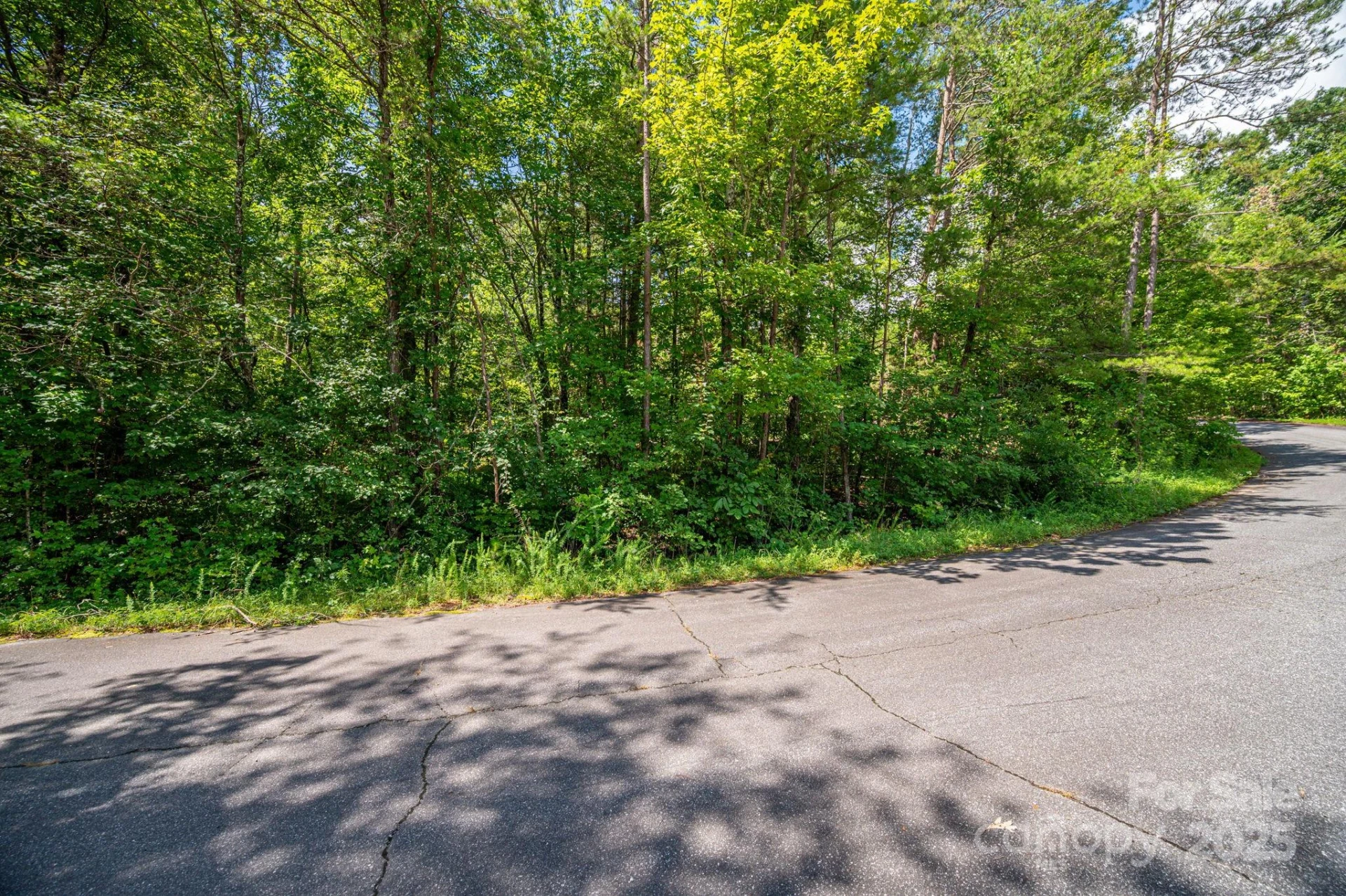 Lot 40 Line Drive - Photo 5
