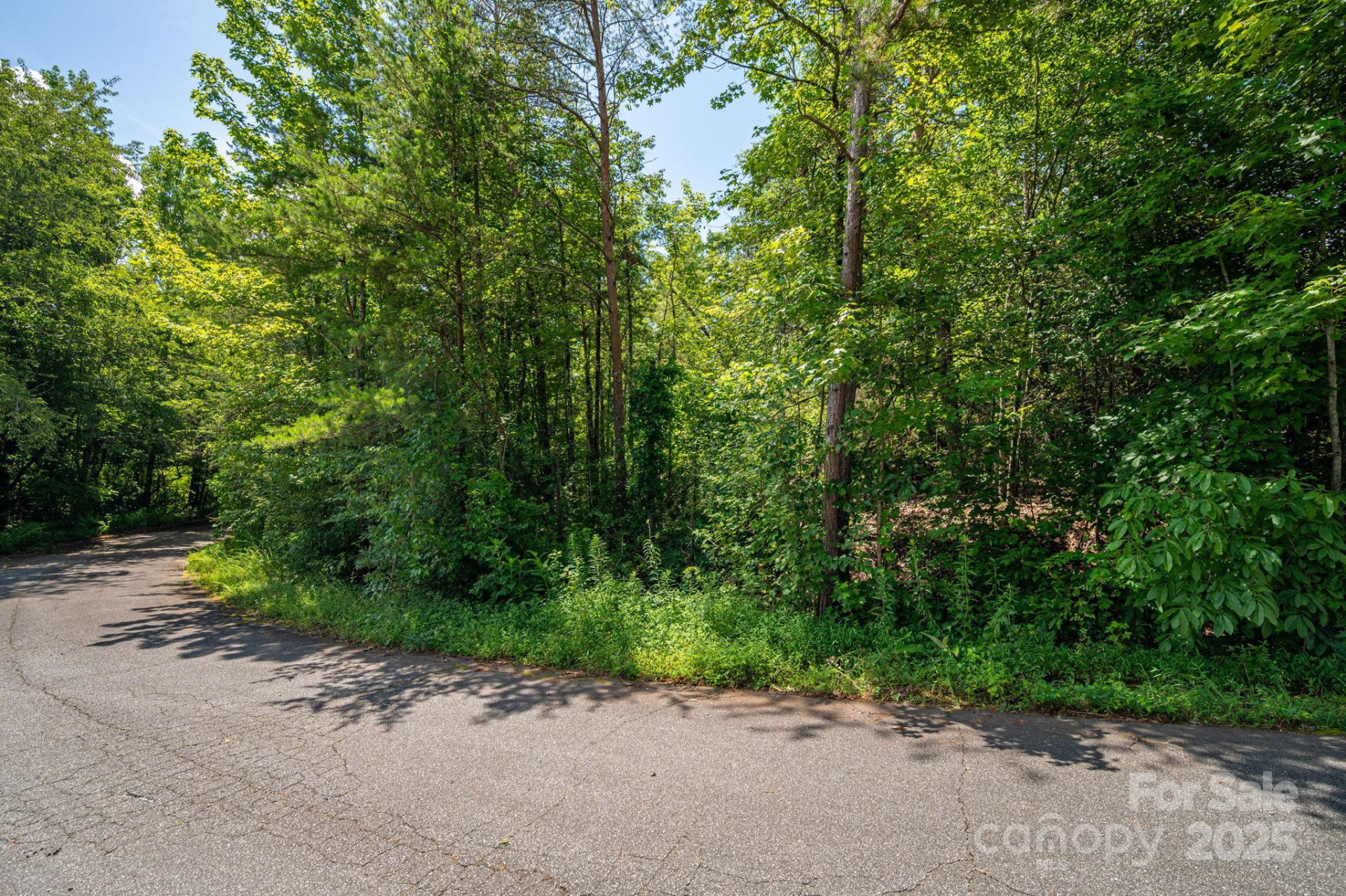 Lot 40 Line Drive - Photo 8