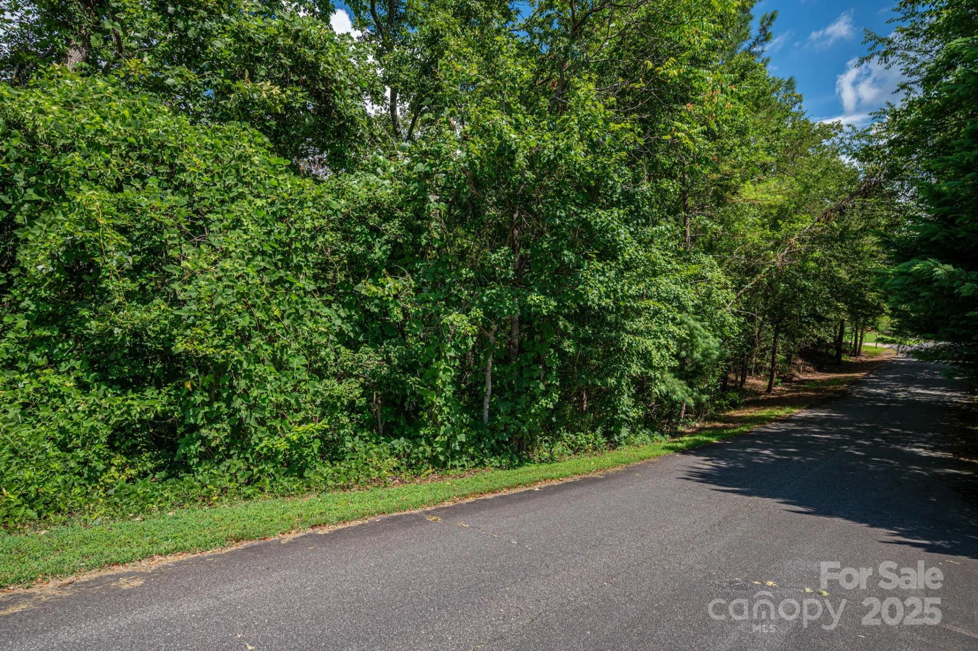 Lot 25 Line Drive