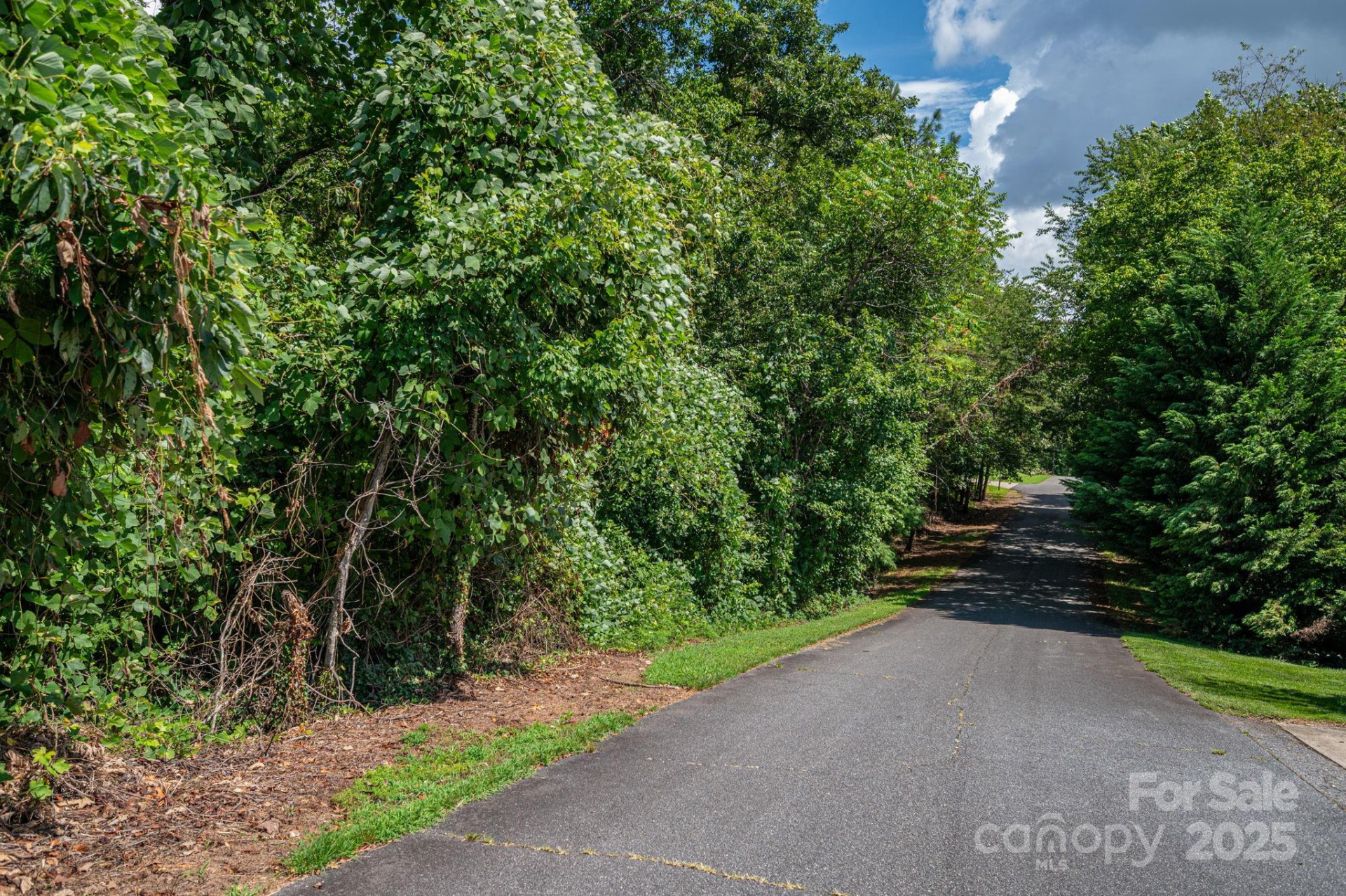 Lot 25 Line Drive - Photo 5