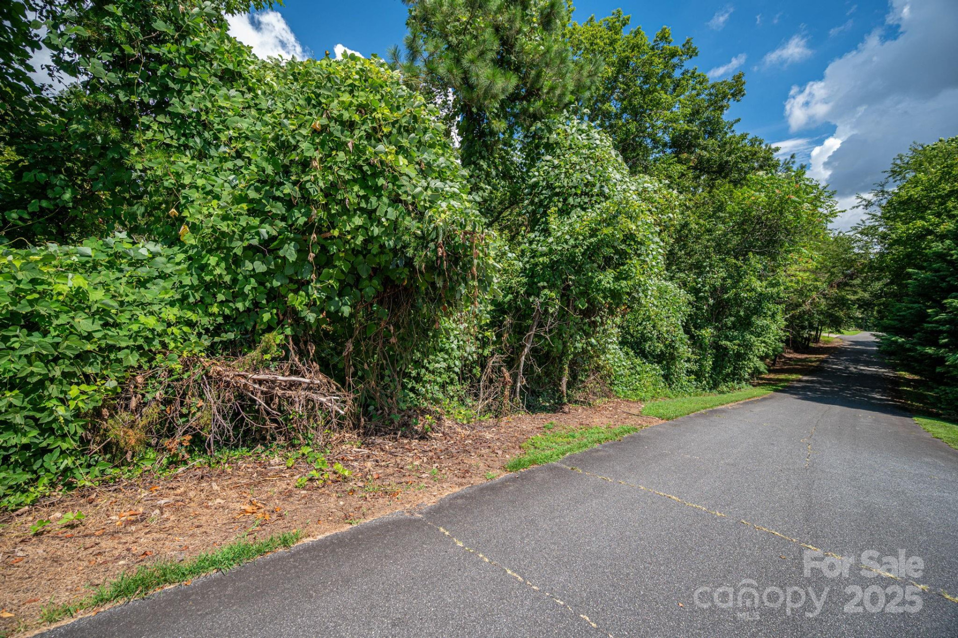 Lot 25 Line Drive - Photo 6