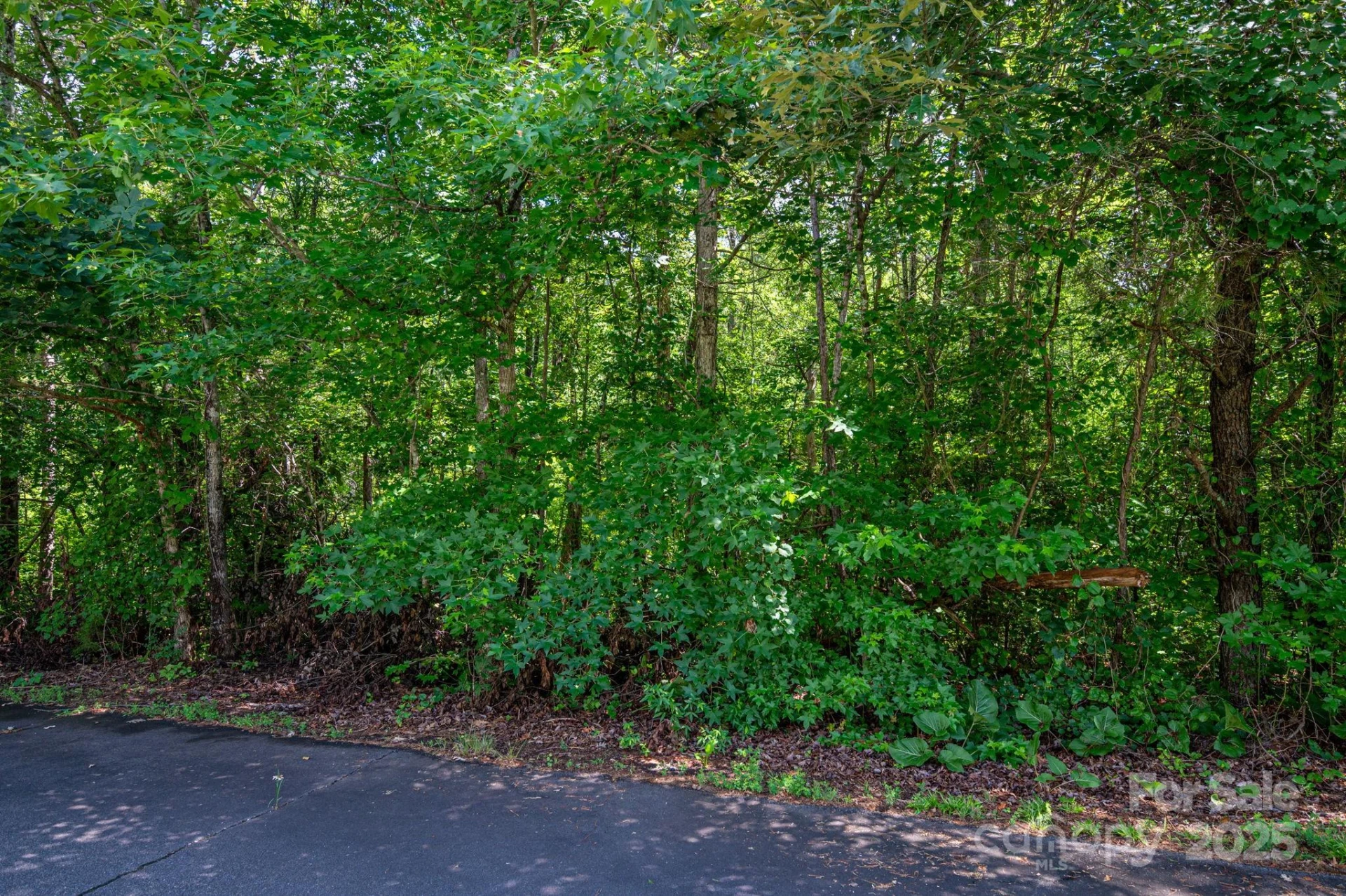 Lot 33 Line Drive - Photo 2