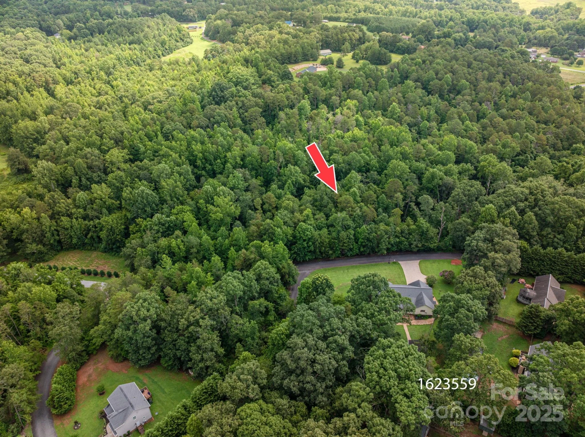 Lot 33 Line Drive - Photo 9