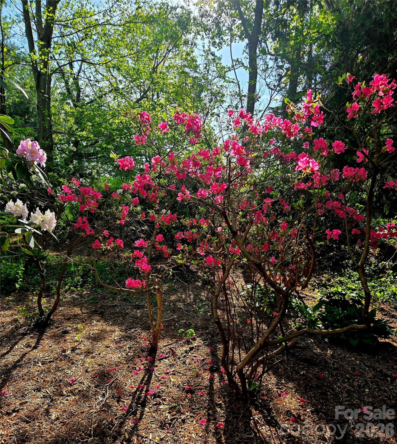 500 Griffing Boulevard - Photo 21