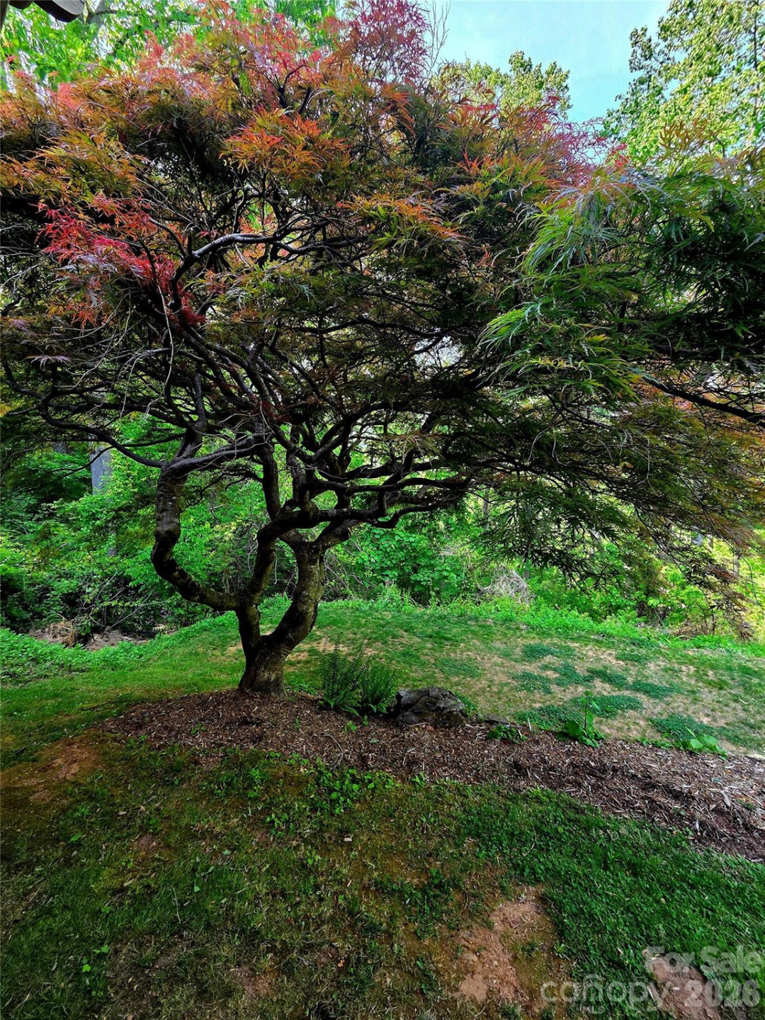 500 Griffing Boulevard - Photo 24