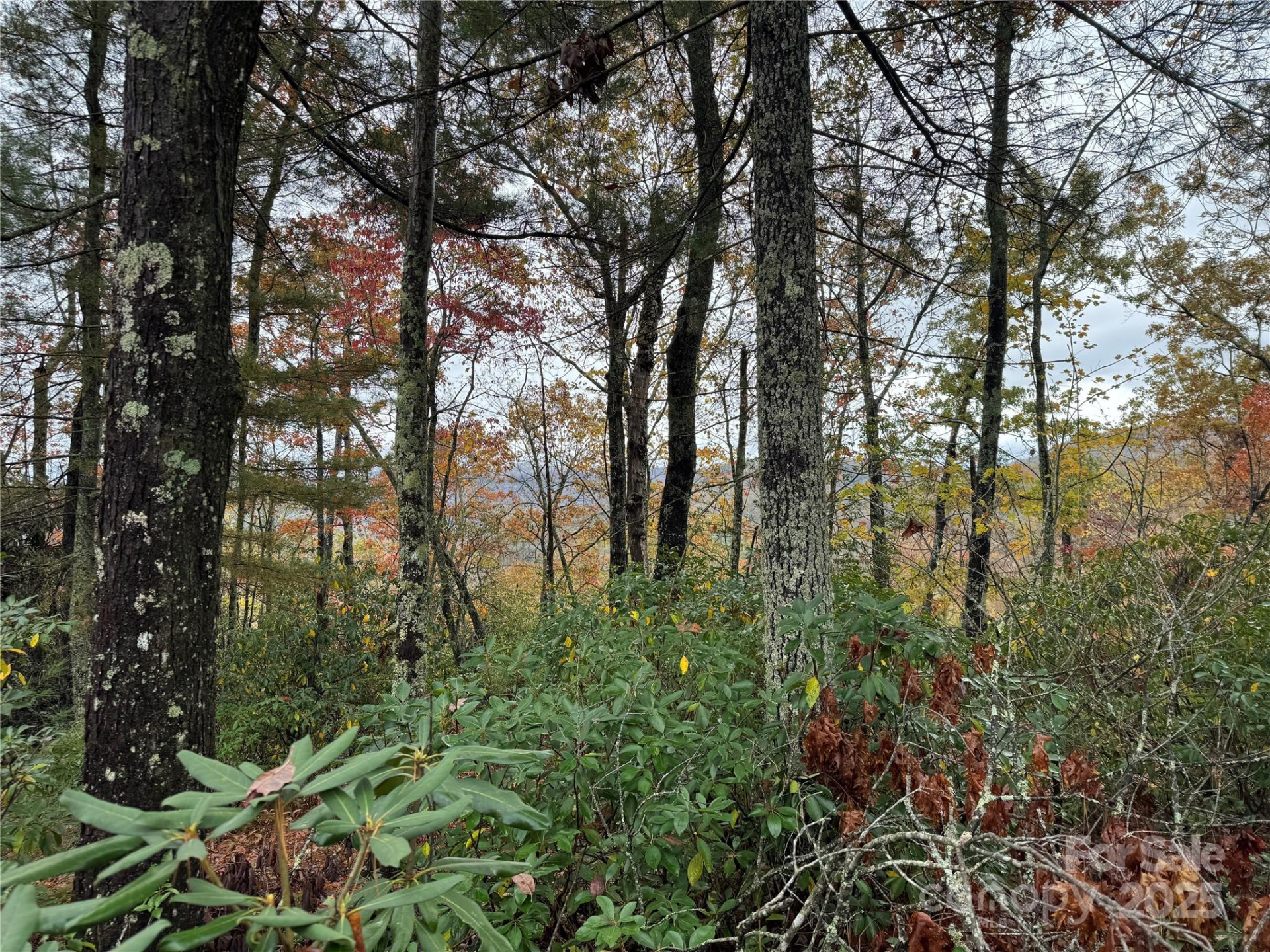 00 King Road - Photo 11