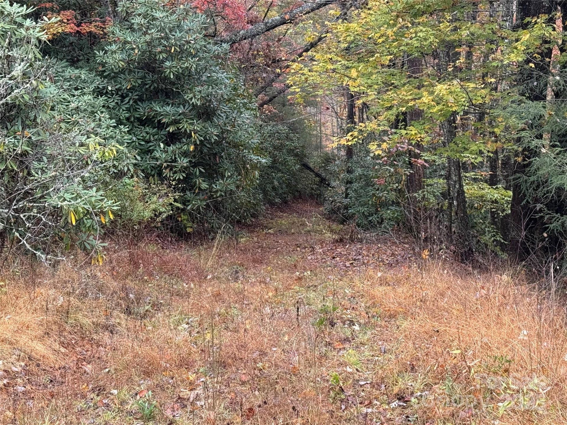 00 King Road - Photo 14