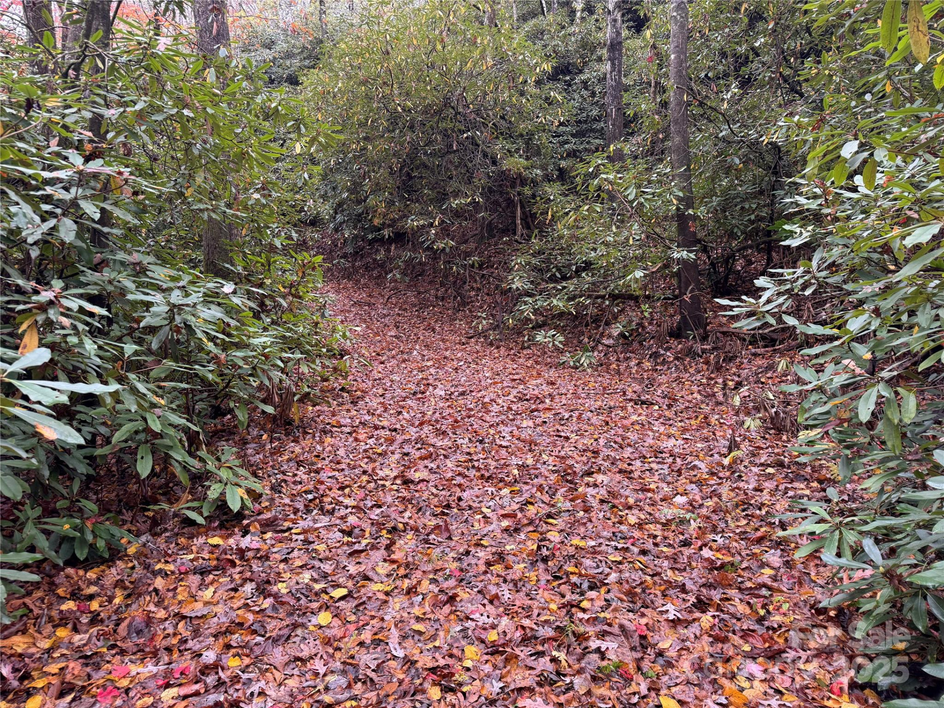 00 King Road - Photo 5