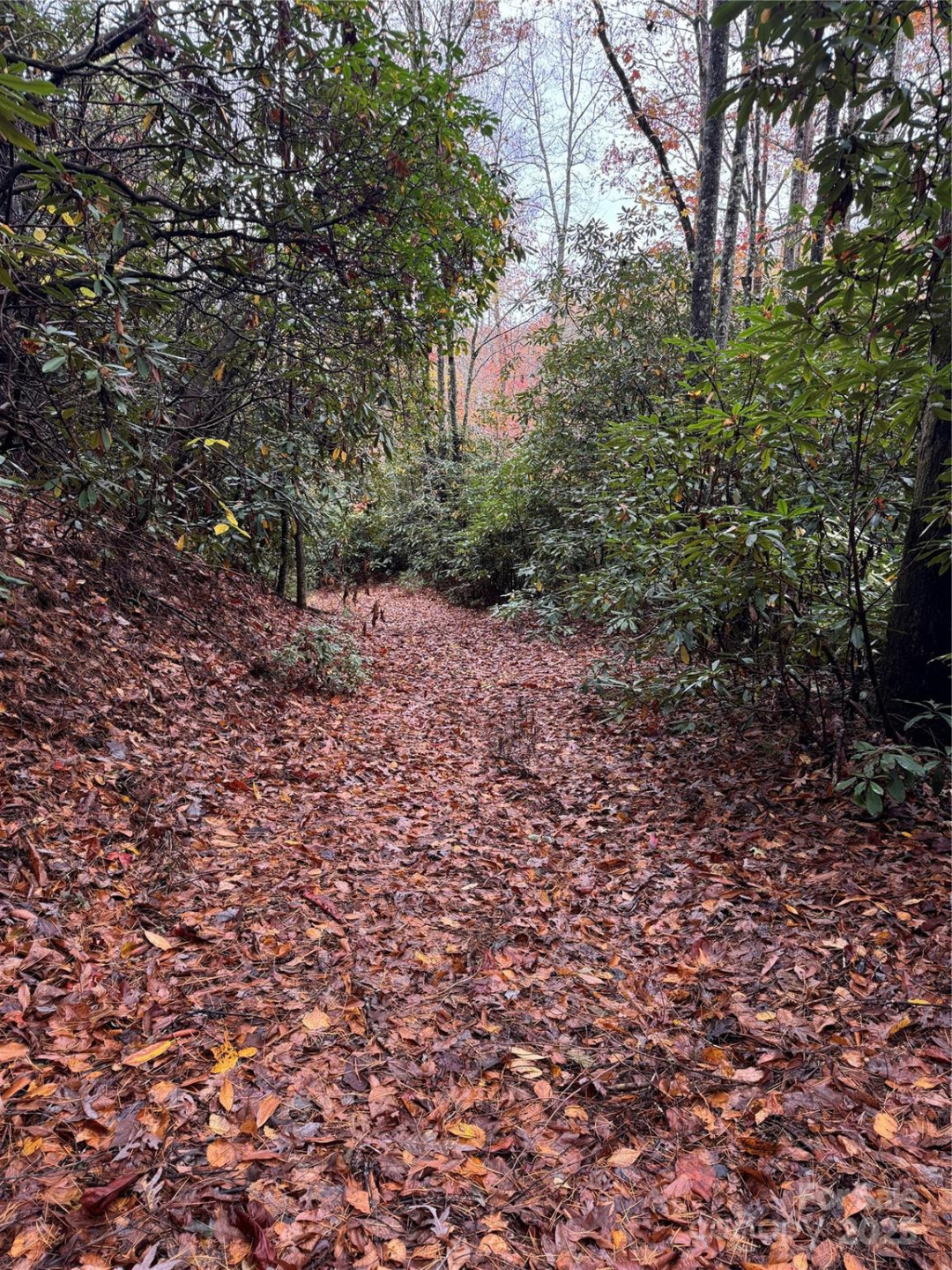 00 King Road - Photo 6