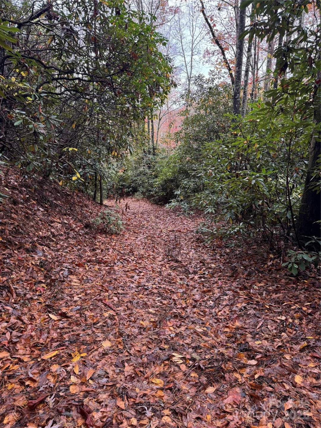 00 King Road - Photo 6