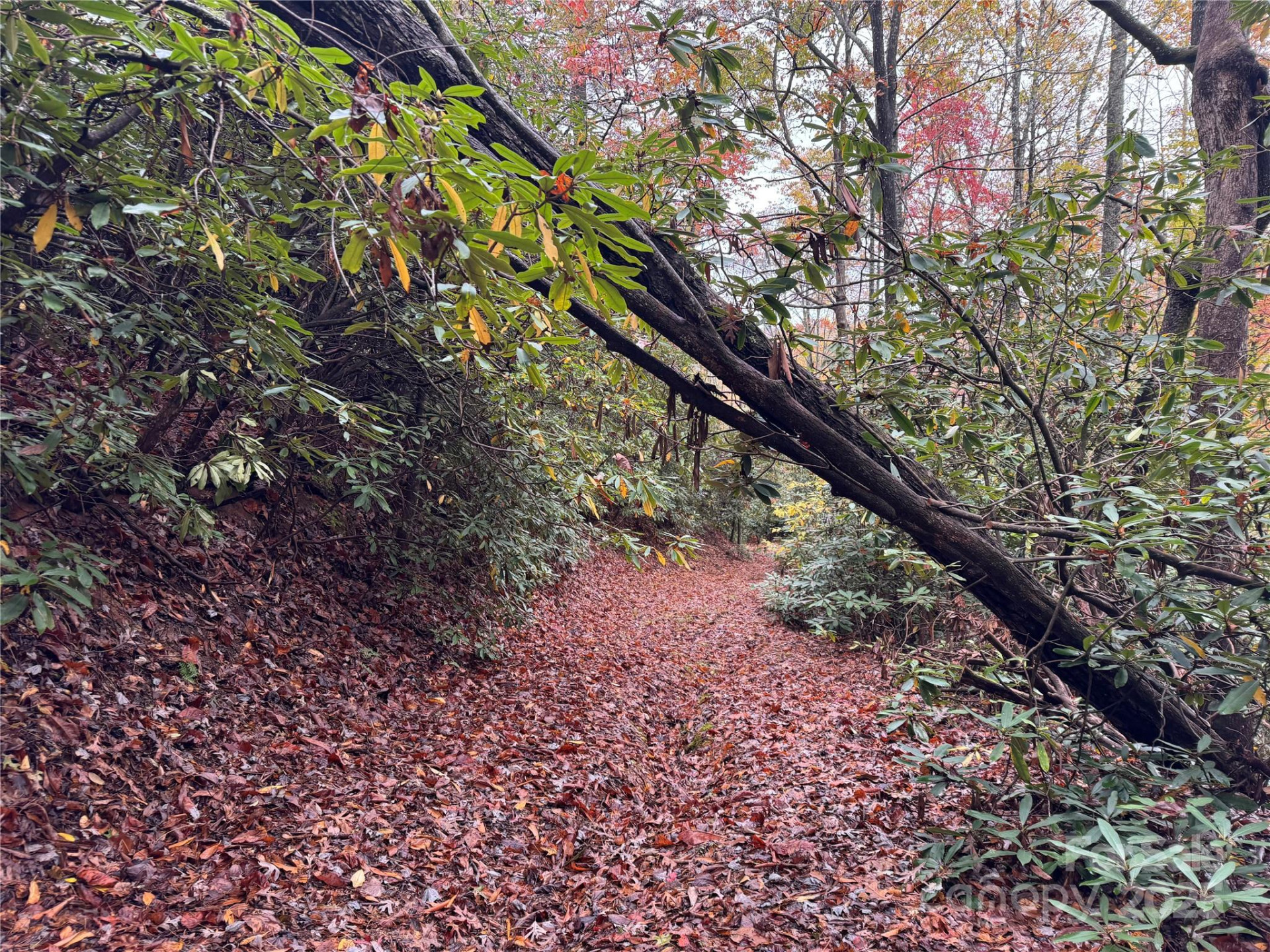 00 King Road - Photo 7