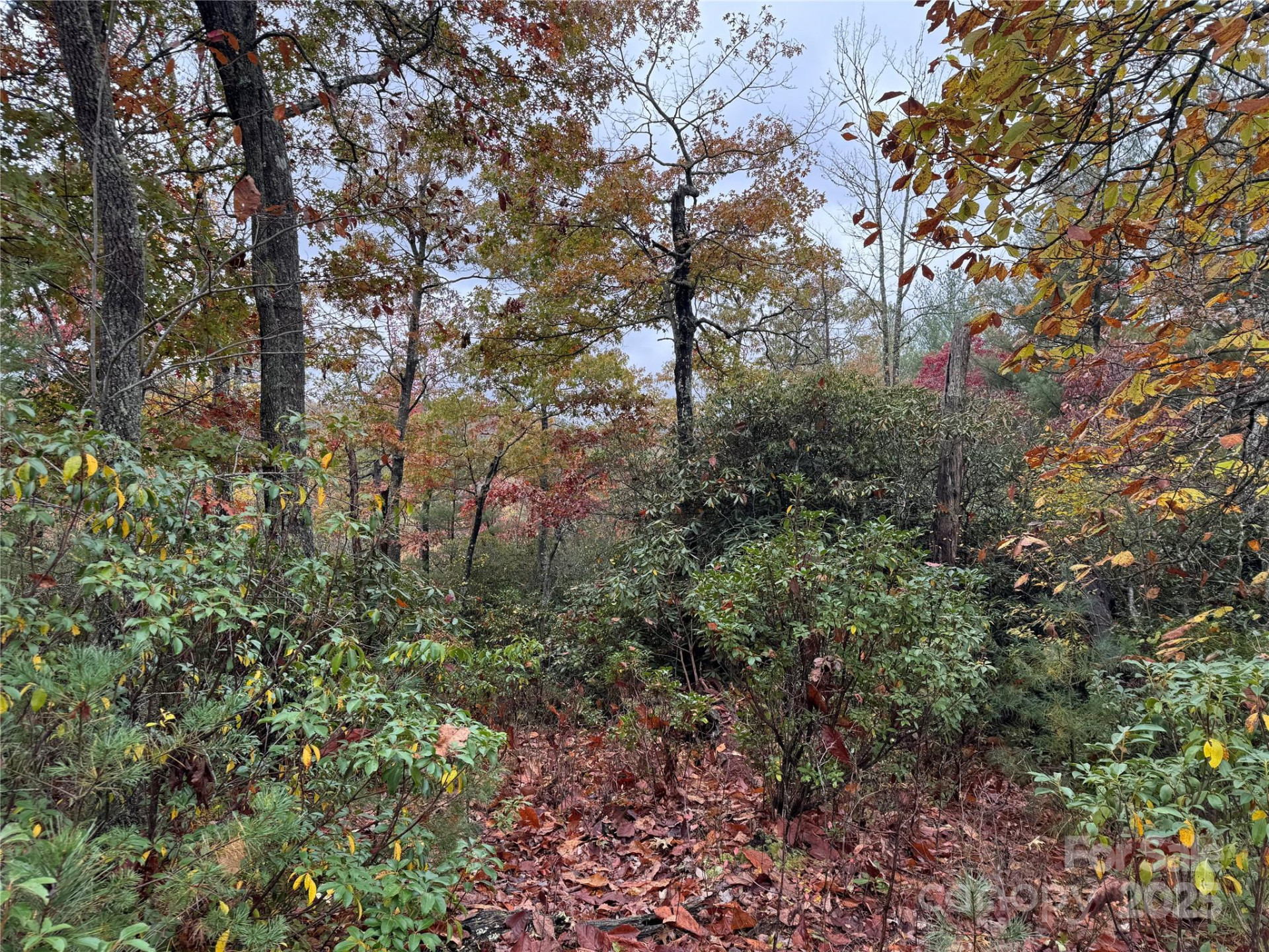 00 King Road - Photo 10