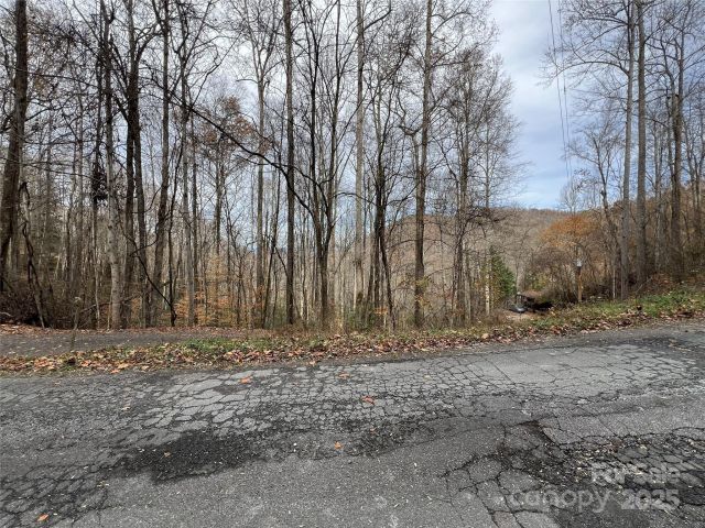Lot 7 Deer Ridge Road, Bryson City, NC, 28713