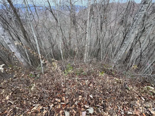 Lot 7 Deer Ridge Road, Bryson City, NC, 28713